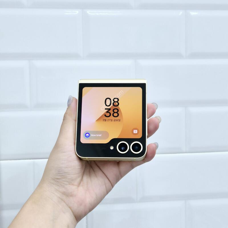 ������Z�ø�6 ���ο� 256GB
