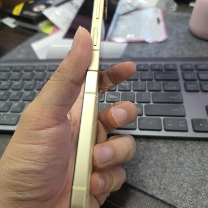 (313)������z�ø�6 256 �Ǹ�