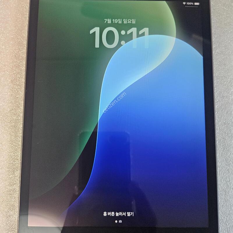 �����е�̴�5����(2019)��������