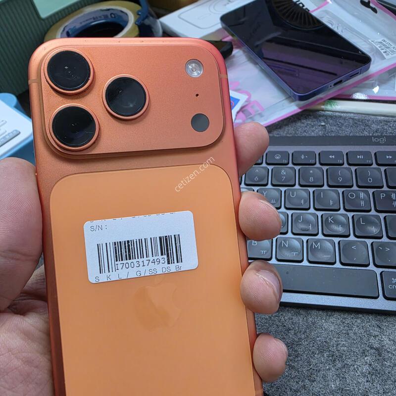 (1004)17����
