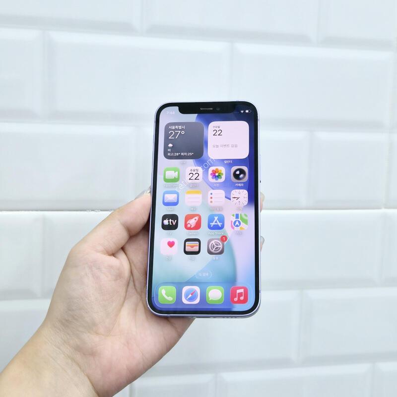������12�̴� 256GB ����