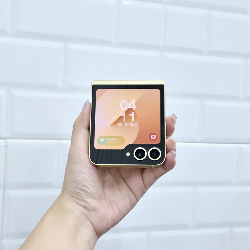 ������Z�ø�6 ���ο� 256GB