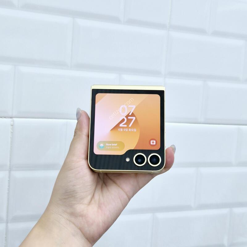 ������Z�ø�6 ���ο� 256GB