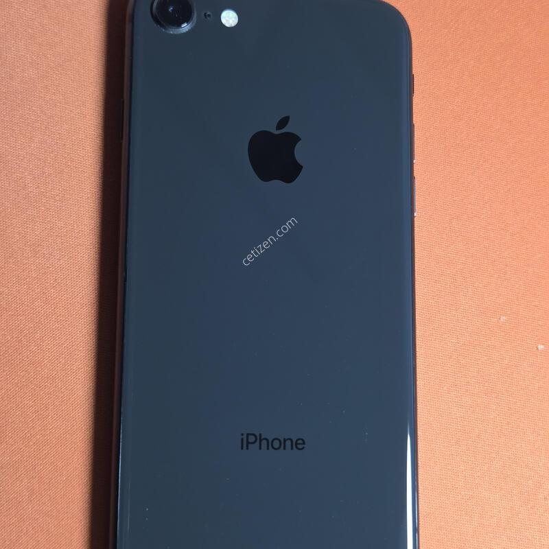 ������8.256GB.���͸�100%���۱�