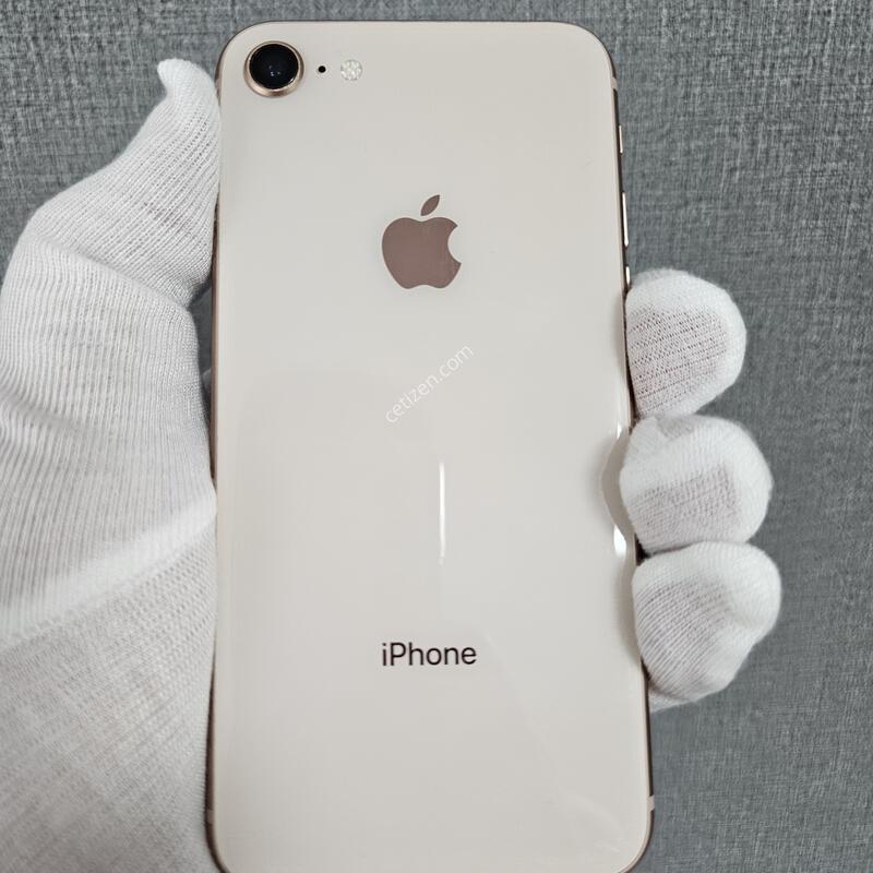 ���� 256GB ���͸�100% �����ֻ�