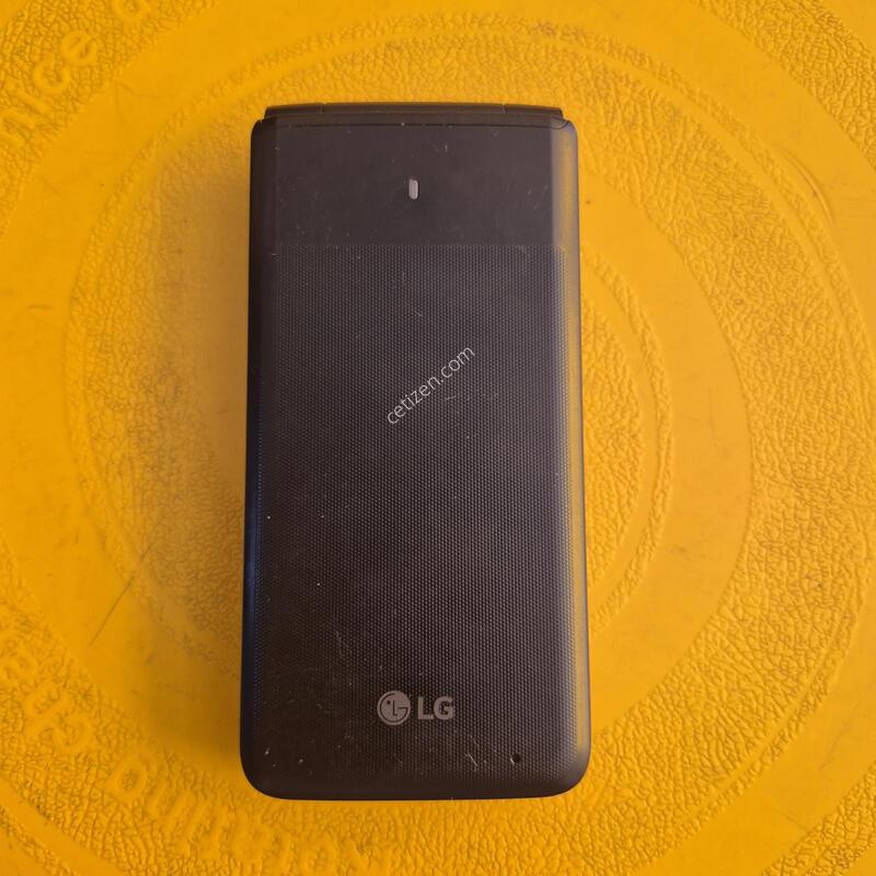 Y110L