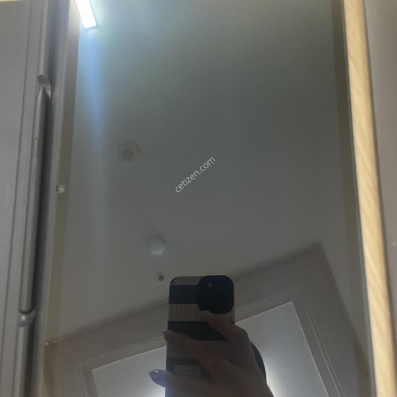�Ｚ��������8+