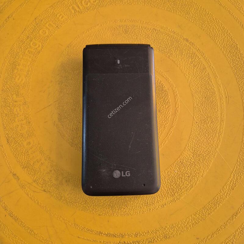 Y110L