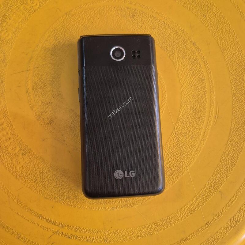Y110L