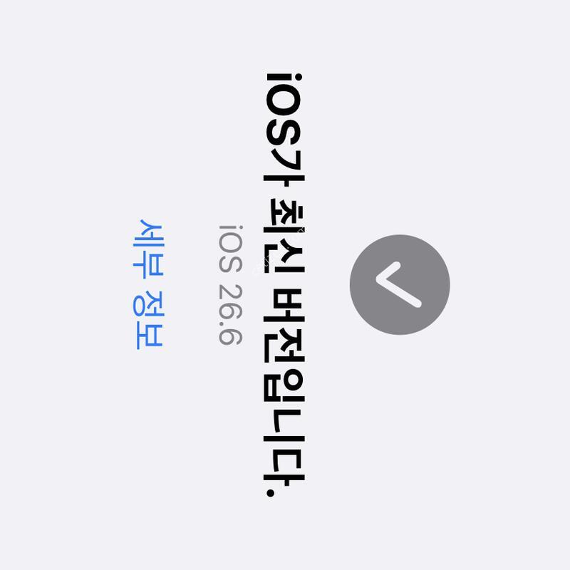 ������ 16 Pro, 256G, ȭ��Ʈ, ���