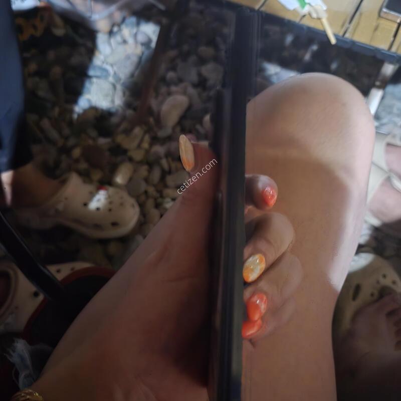 ����������7 512�Ⱑ