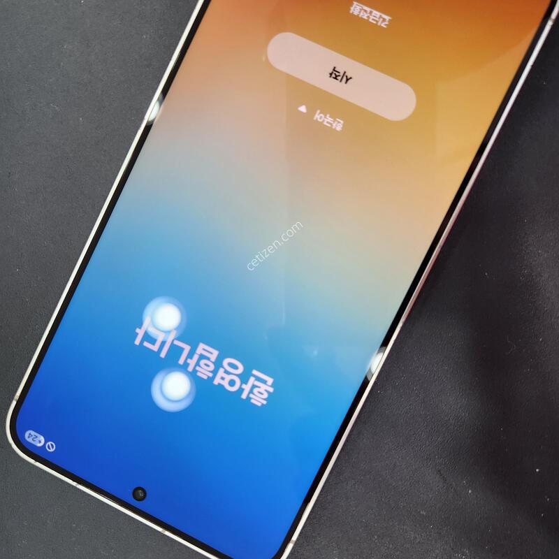 ������ S24�÷��� ���