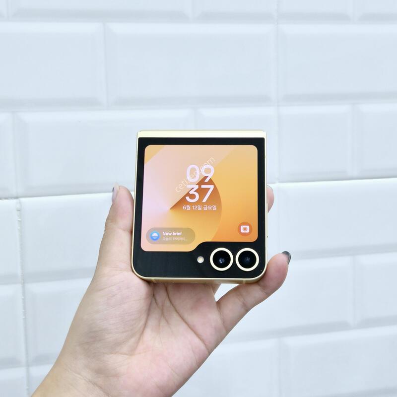 ������Z�ø�6 ���ο� 256GB