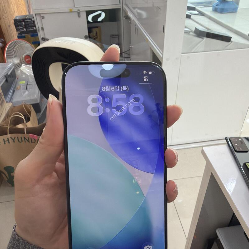 ������16���� ����sa+++++