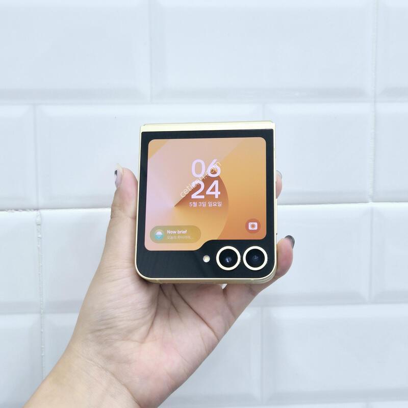 ������Z�ø�6 ���ο� 256GB