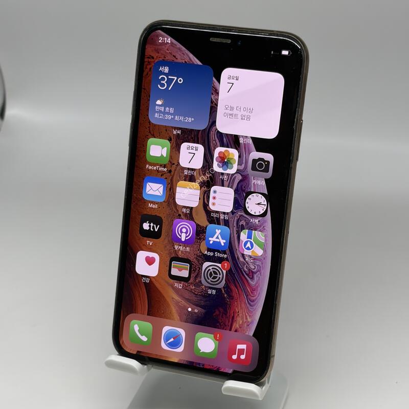 �����ʼ�!A��! ������XS 256GB ��� [���͸�78%]
