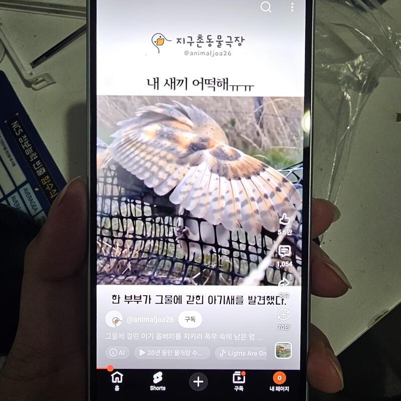 �������� �����ÿ��̵�8 ����Ʈ�׸� �˴ϴ�