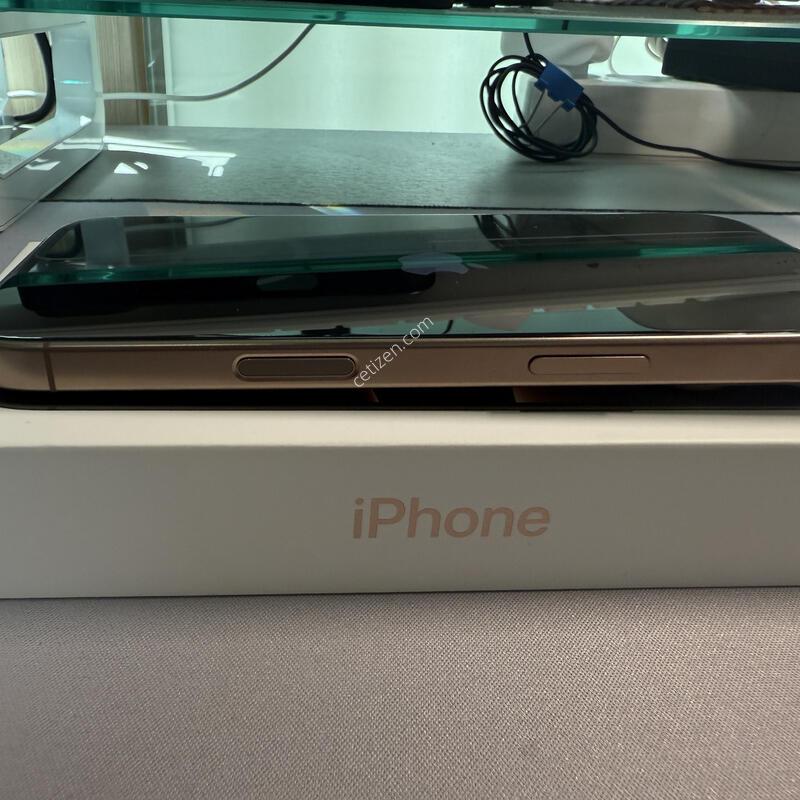 ������16 Pro ����Ʈ ƼŸ�� (Desert Titanium) 256GB �ֻ��, �ڽ� ����