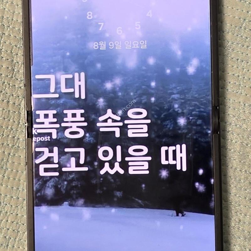 ������Z�ø�7 ���� 512GB