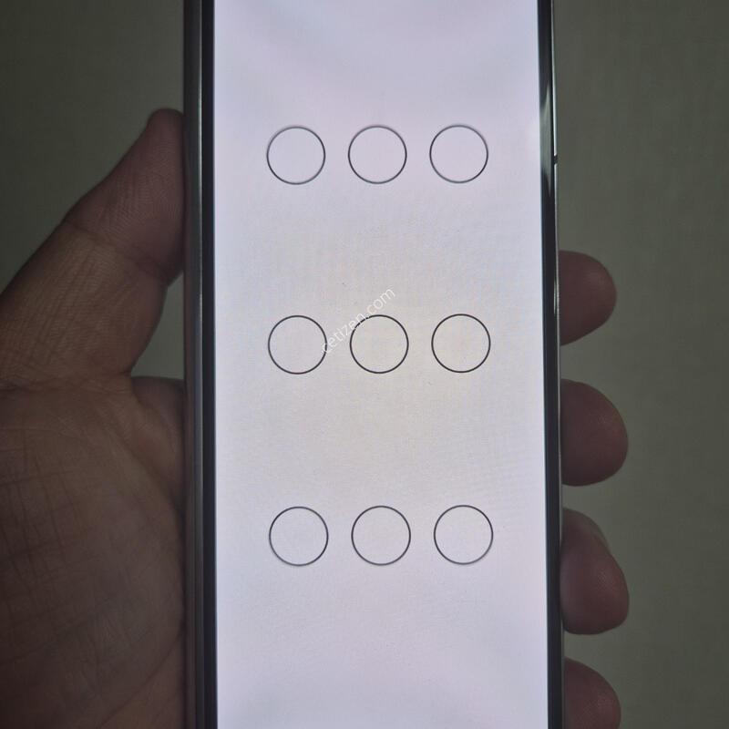 Z����5 512GB ���ξ������� �������� - 70643