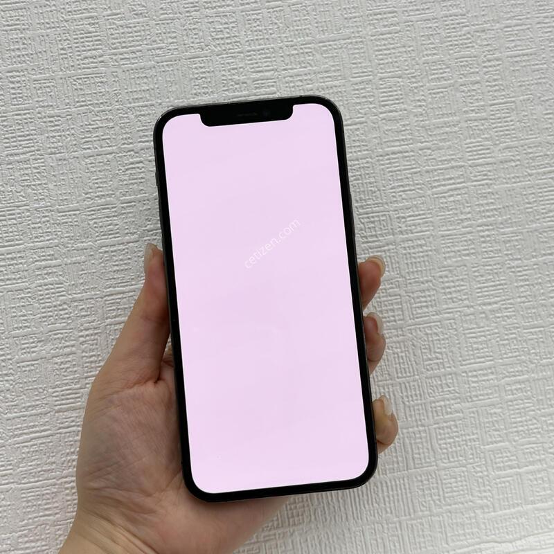 (336) ���͸�100 ������12���� 256G �׷�����Ʈ A+��