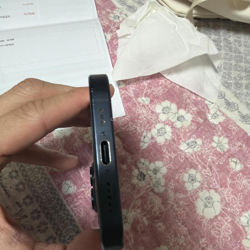 ������ 15 ����