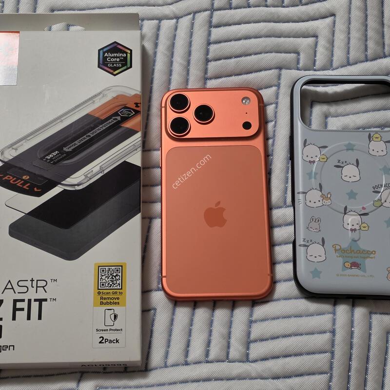 ������ 17 ���θƽ� �ڽ��� ������ 256 ��� ��ǰ s��