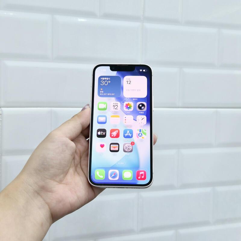 ������13�̴� 256GB ��ũ