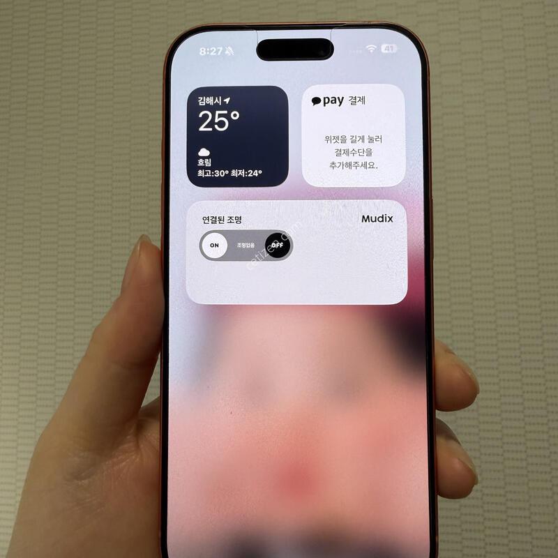 ������ 17���� 256GB �ڽ��� ������