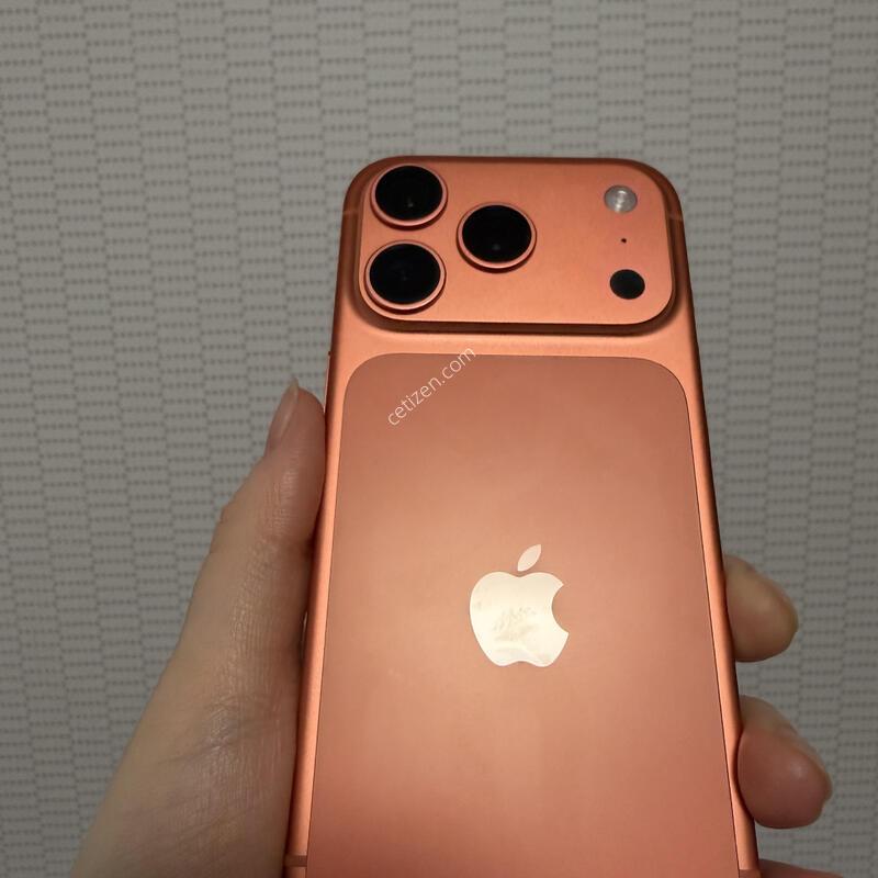 ������ 17���� 256GB �ڽ��� ������