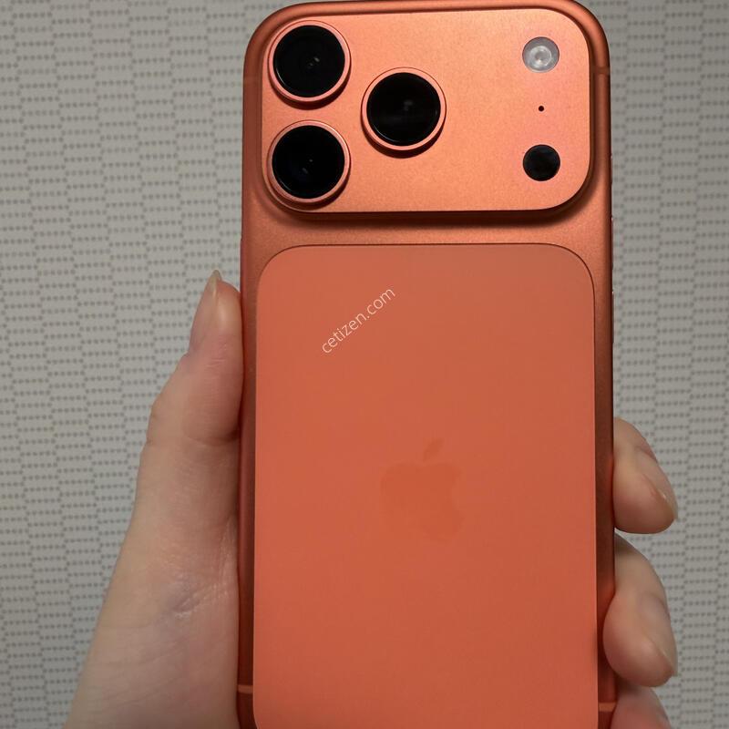 ������ 17���� 256GB �ڽ��� ������