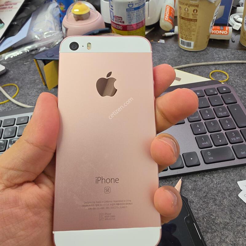 (1237)������se