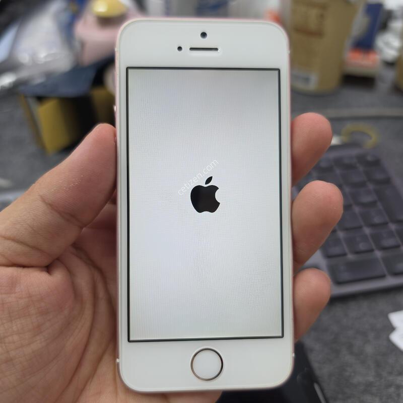 (1237)������se