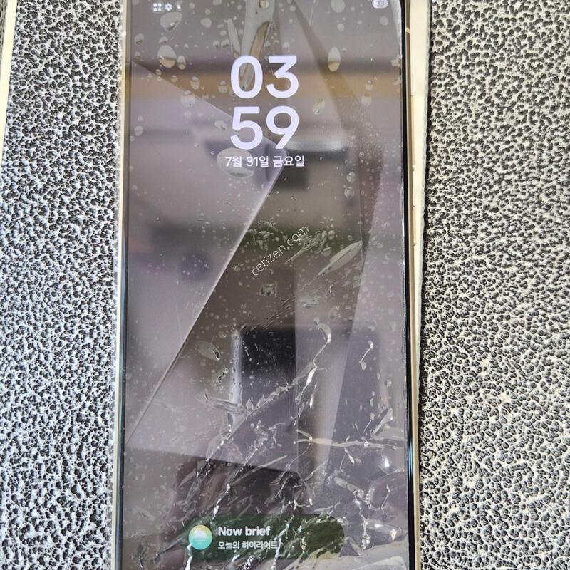 ������S24��Ʈ��. ���ο�. ����, ���κ��� ��ü��