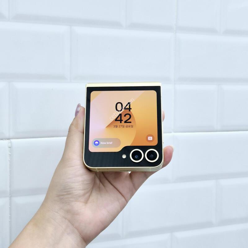 ������Z�ø�6 ���ο� 256GB