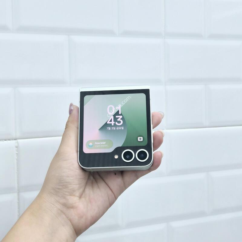 ������Z�ø�6 ��Ʈ 256GB