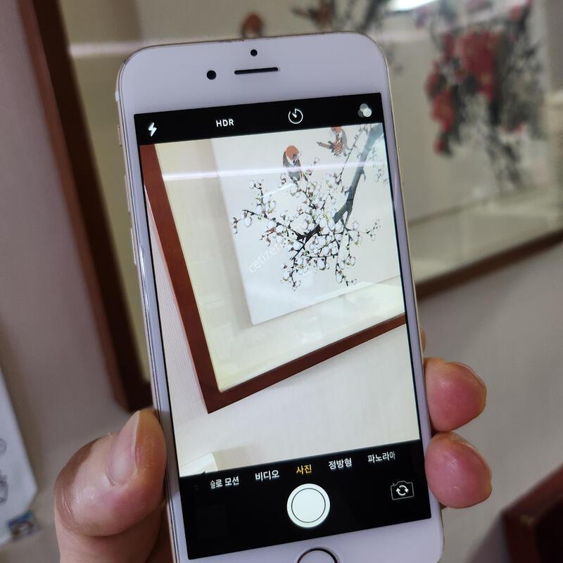 ���� iPhone6 ������6   ���͸�100%