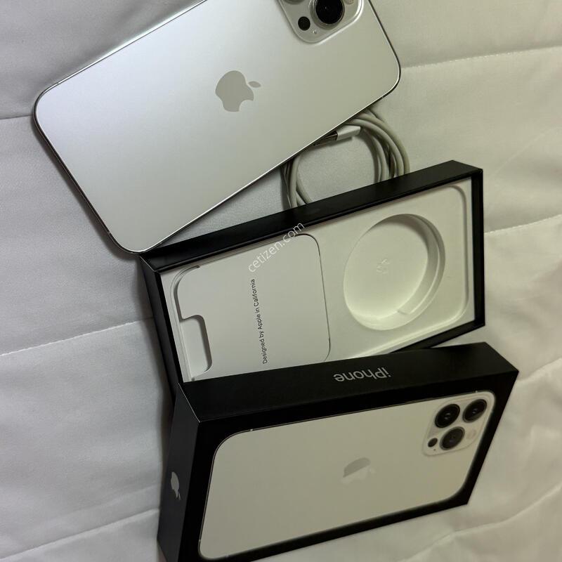 ������13pro max �ǹ� 246GB