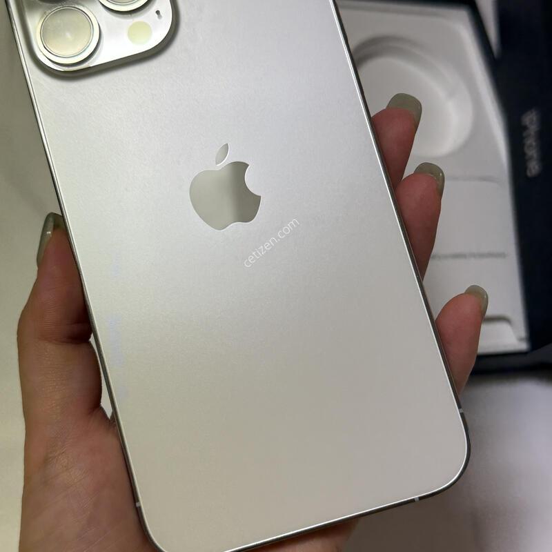 ������13pro max �ǹ� 246GB