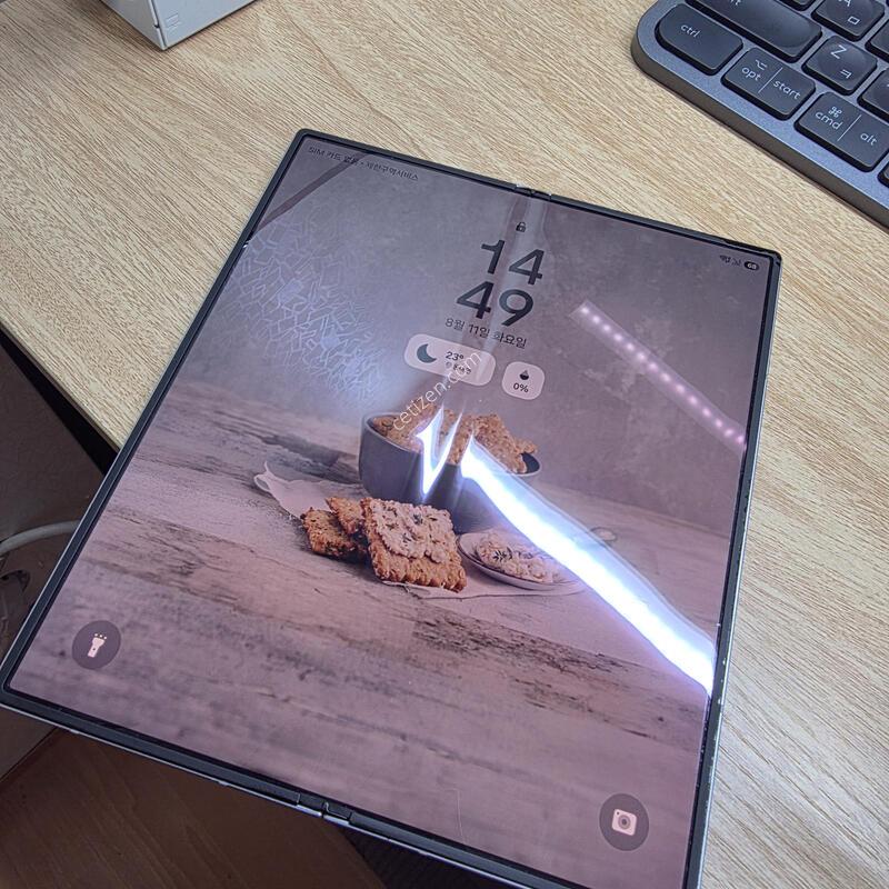 �Ｚ ������ Z ����6 �ǹ� 256GB