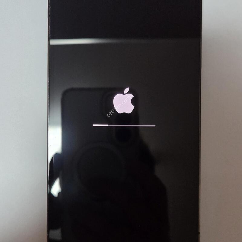 ������13 ���θƽ� 256G