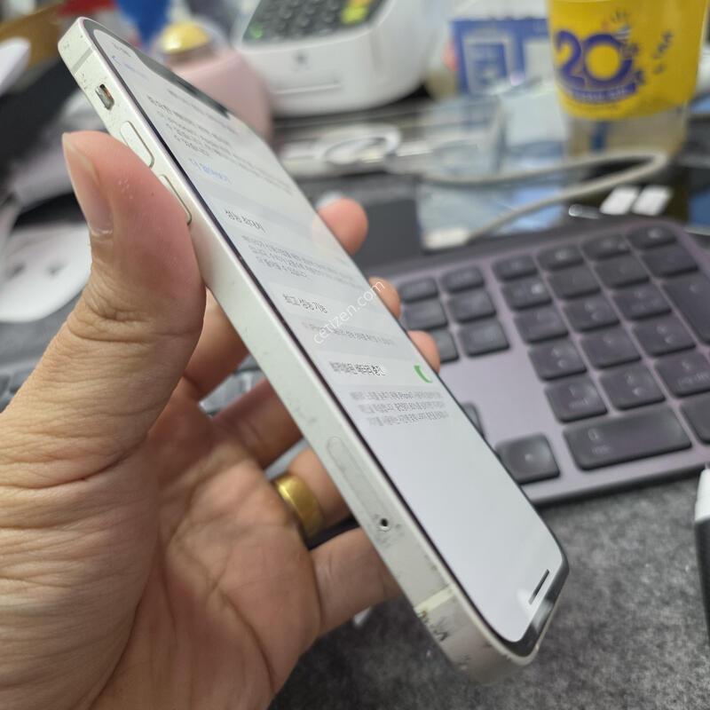 (1293)������12 64