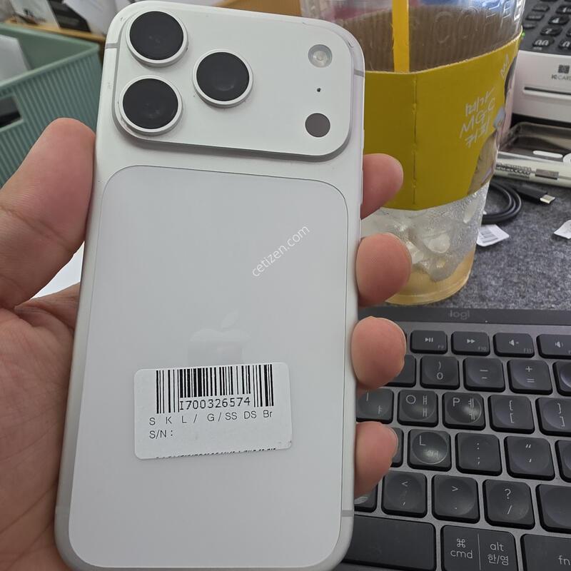 (1138)17���� 256