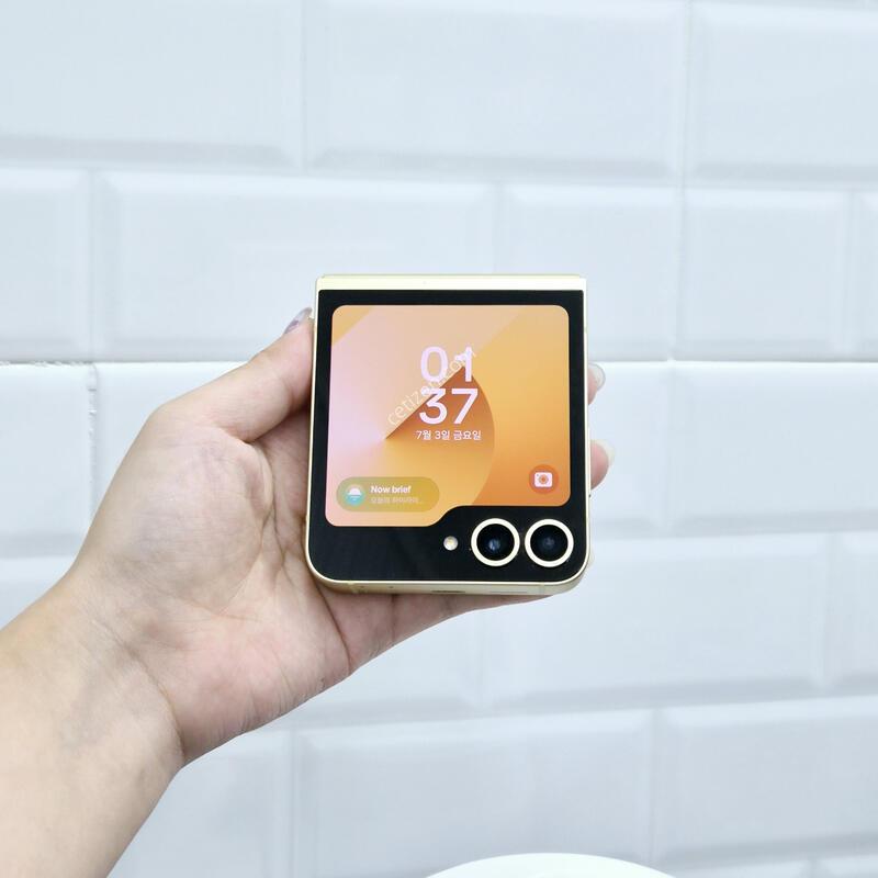 ������Z�ø�6 ���ο� 256GB