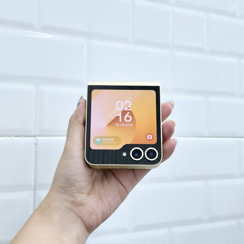 ������Z�ø�6 ���ο� 256GB