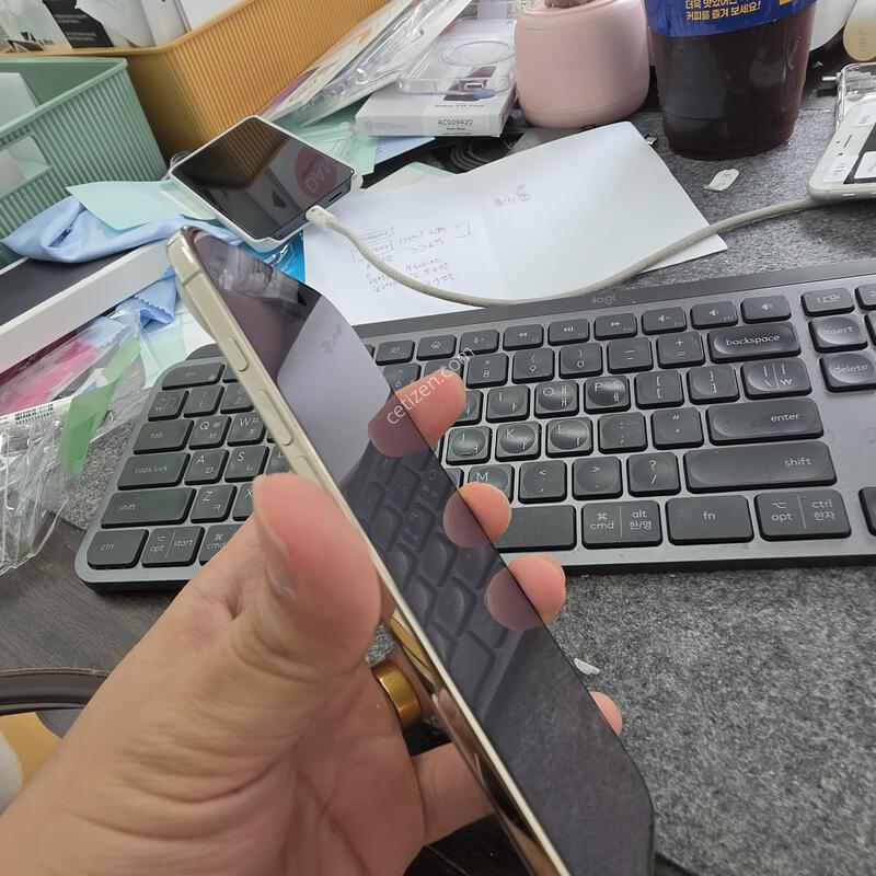 (8893)����������