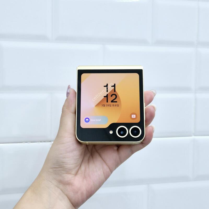 ������Z�ø�6 ���ο� 256GB