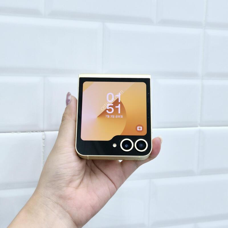 ������Z�ø�6 ���ο� 256GB