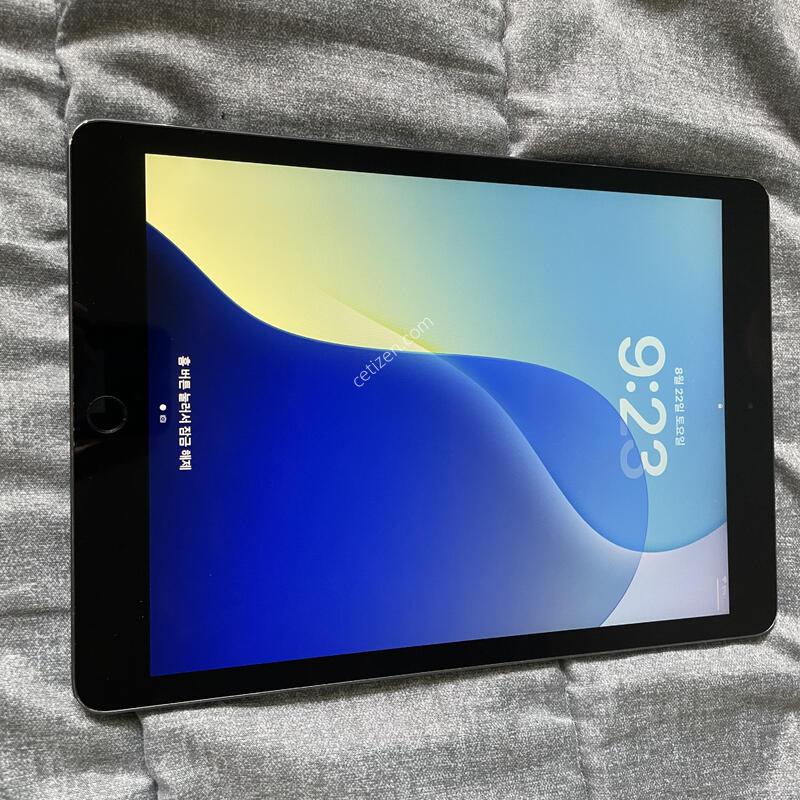 �����е� 8���� (2020) wifi 32gb �����̽� �׷���
