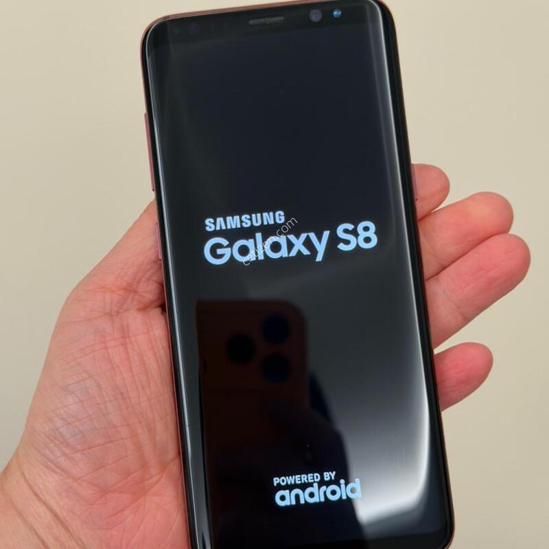 S8 ���ǵ� ����